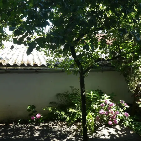 Abc Atelierwohnung F Meersburg